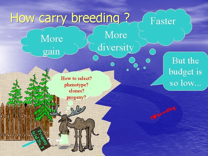 How carry breeding ? More gain Faster More diversity But the budget is so