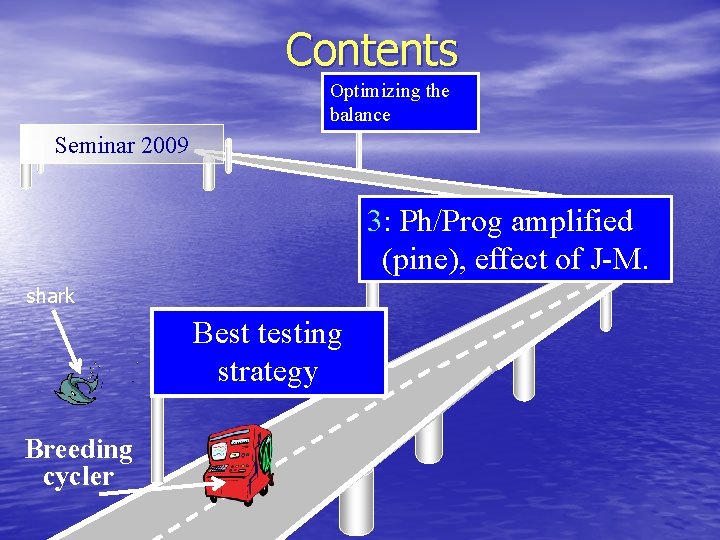 Contents Optimizing the balance Seminar 2009 3: Ph/Prog amplified (pine), effect of J-M. shark