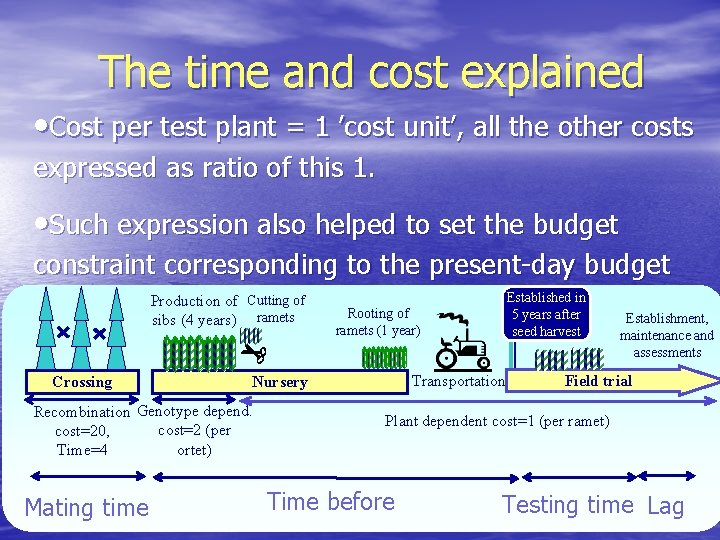 The time and cost explained • Cost per test plant = 1 ’cost unit’,