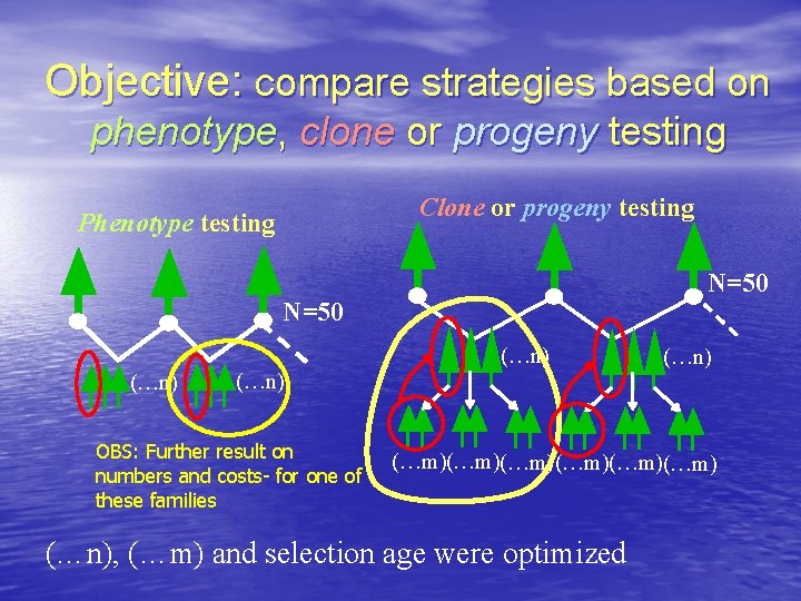Objective: compare strategies based on phenotype, clone or progeny testing Clone or progeny testing