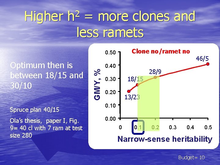 Higher 2 h = more clones and less ramets Clone no/ramet no 0. 50