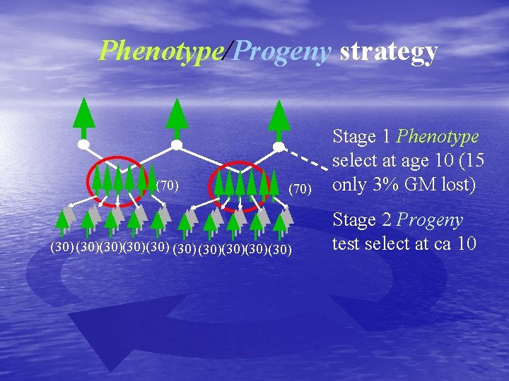 Phenotype/Progeny strategy (70) (30)(30)(30)(30) Stage 1 Phenotype select at age 10 (15 only 3%