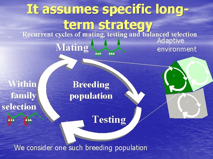 It assumes specific longterm strategy Recurrent cycles of mating, testing and balanced selection Adaptive