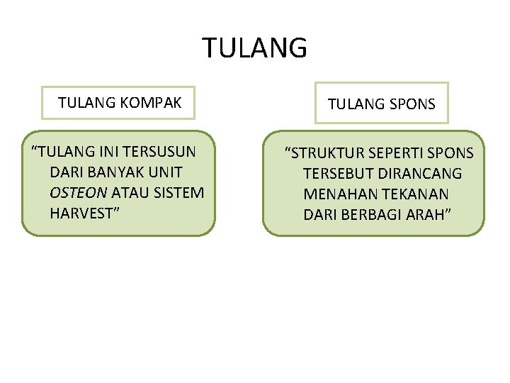 TULANG KOMPAK TULANG SPONS “TULANG INI TERSUSUN DARI BANYAK UNIT OSTEON ATAU SISTEM HARVEST”