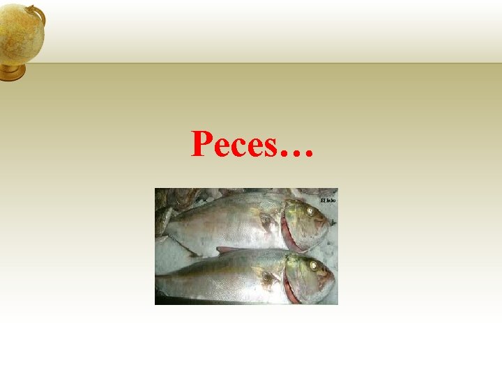 Peces… 