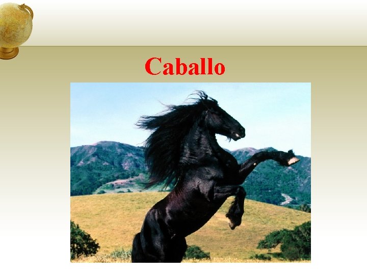 Caballo 