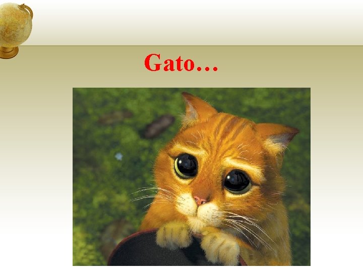 Gato… 