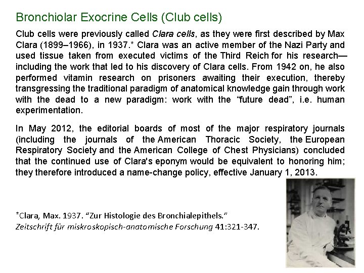 Bronchiolar Exocrine Cells (Club cells) Club cells were previously called Clara cells, as they