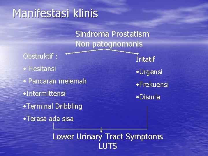 Manifestasi klinis Sindroma Prostatism Non patognomonis Obstruktif : Iritatif • Hesitansi • Urgensi •
