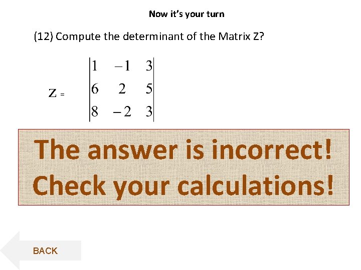 Now it’s your turn (12) Compute the determinant of the Matrix Z? z= The