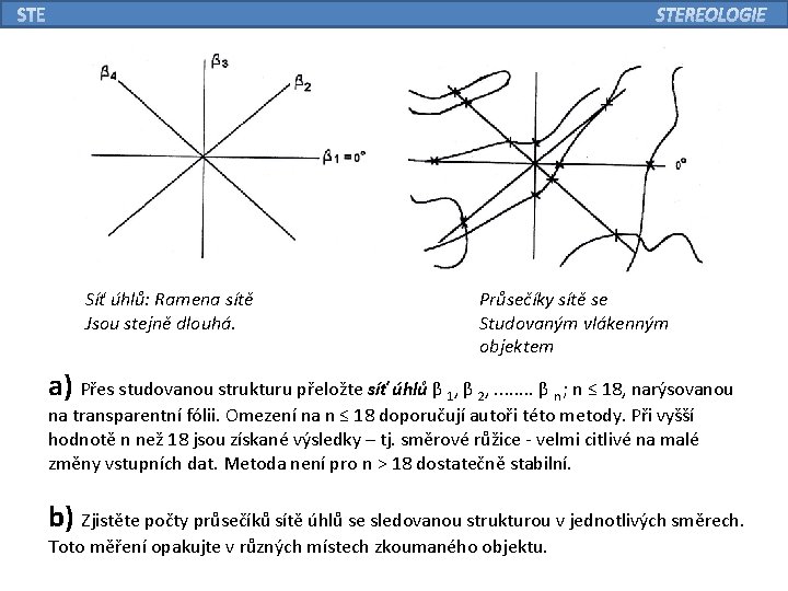 Síť úhlů: Ramena sítě Jsou stejně dlouhá. Průsečíky sítě se Studovaným vlákenným objektem a)