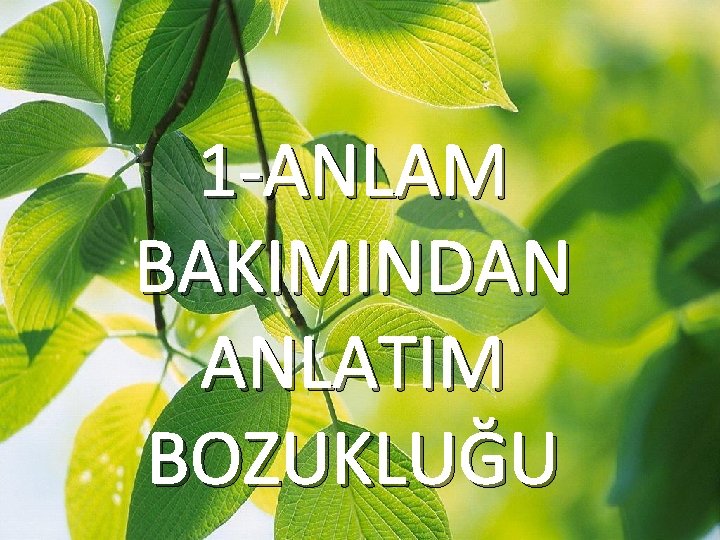 1 -ANLAM BAKIMINDAN ANLATIM BOZUKLUĞU 