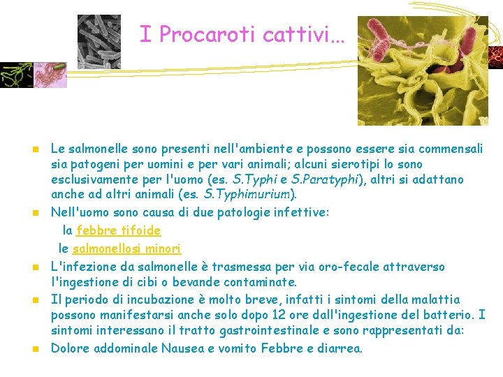 I Procaroti cattivi… n n n Le salmonelle sono presenti nell'ambiente e possono essere