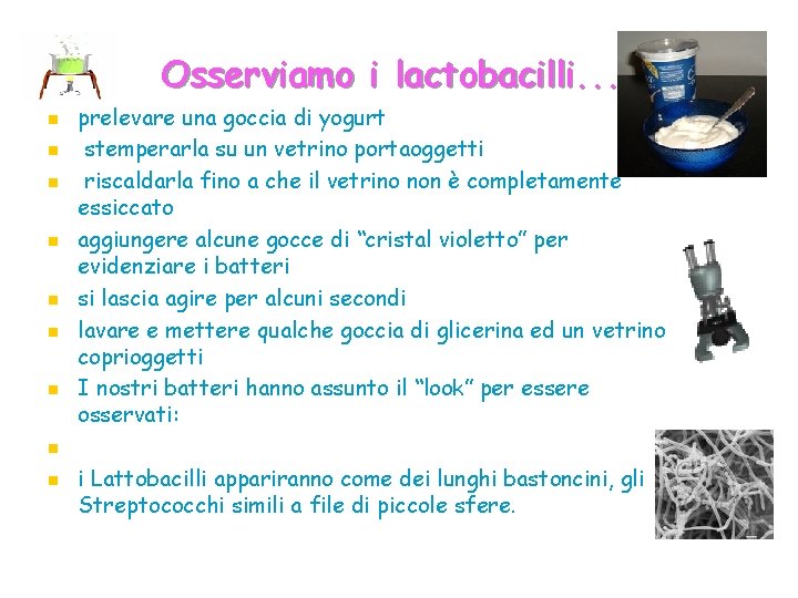 Osserviamo i lactobacilli. . n n n n n prelevare una goccia di yogurt
