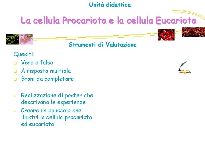 Unità didattica La cellula Procariota e la cellula Eucariota Strumenti di Valutazione Quesiti: q