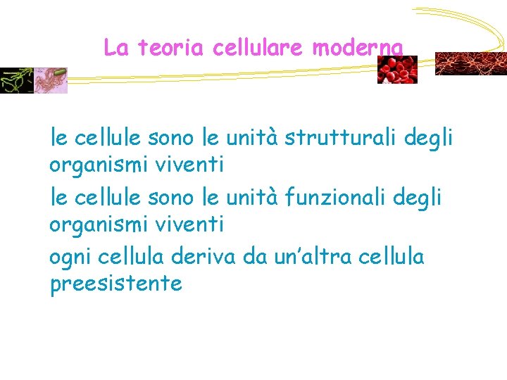 La teoria cellulare moderna le cellule sono le unità strutturali degli organismi viventi le