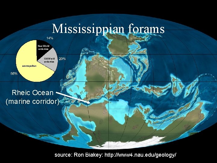 Mississippian forams New World endemics Old World endemics cosmopolitan Rheic Ocean (marine corridor) Fossils