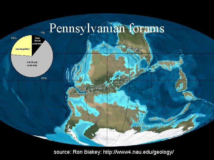 Pennsylvanian forams New World endemics cosmopolitan Old World endemics Fossils & Evolution—Chapter 9 source: