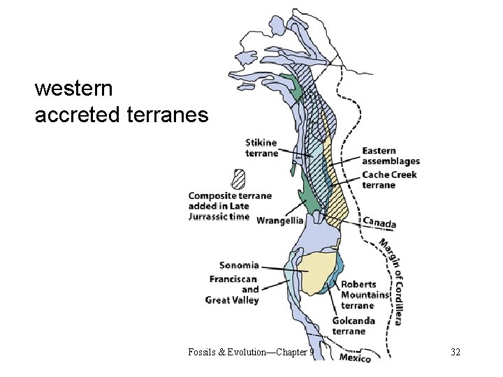 western accreted terranes Fossils & Evolution—Chapter 9 32 