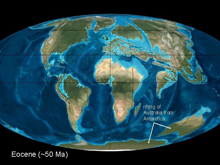 rifting of Australia from Antarctica Eocene (~50 Ma) Fossils & Evolution—Chapter 9 35 