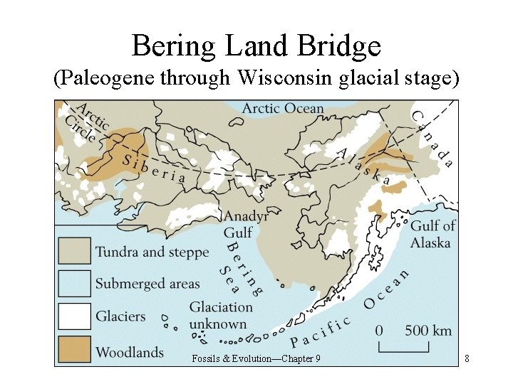 Bering Land Bridge (Paleogene through Wisconsin glacial stage) Fossils & Evolution—Chapter 9 8 