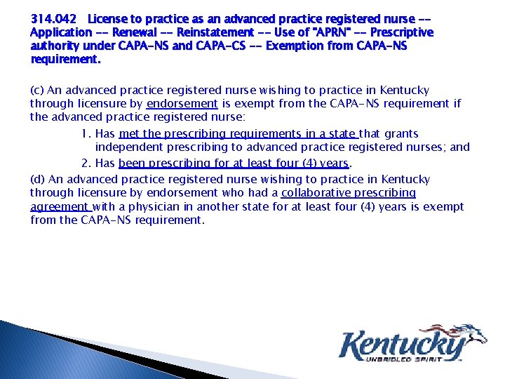314. 042 License to practice as an advanced practice registered nurse -Application -- Renewal