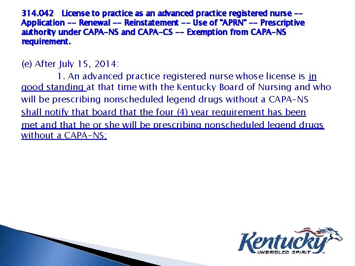 314. 042 License to practice as an advanced practice registered nurse -Application -- Renewal
