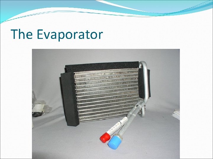 The Evaporator 