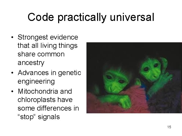 Code practically universal • Strongest evidence that all living things share common ancestry •