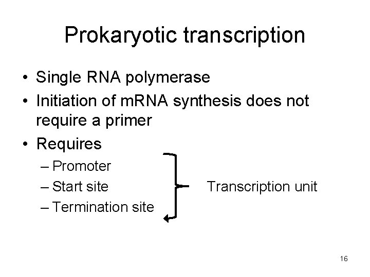 Prokaryotic transcription • Single RNA polymerase • Initiation of m. RNA synthesis does not