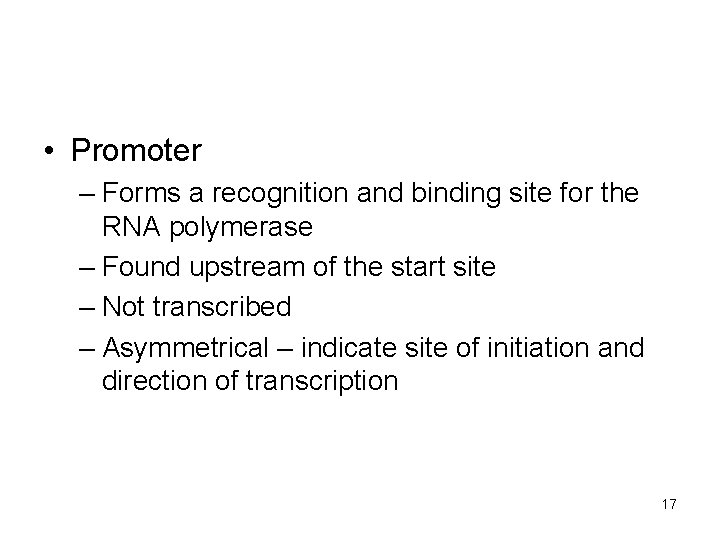  • Promoter – Forms a recognition and binding site for the RNA polymerase