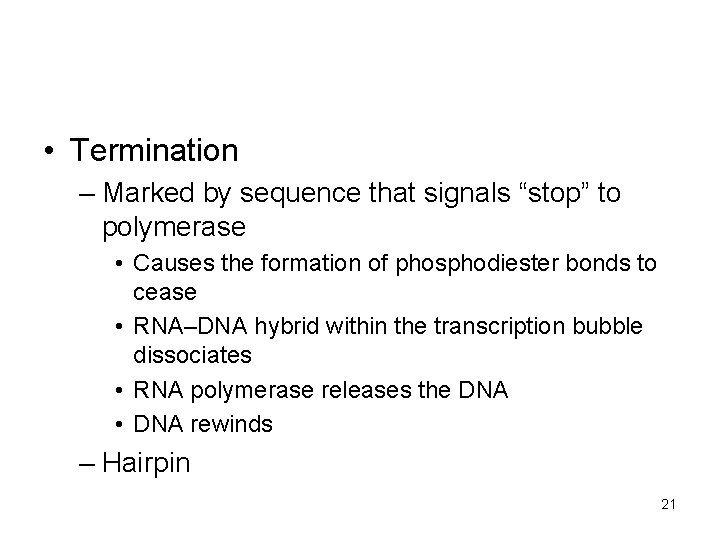  • Termination – Marked by sequence that signals “stop” to polymerase • Causes