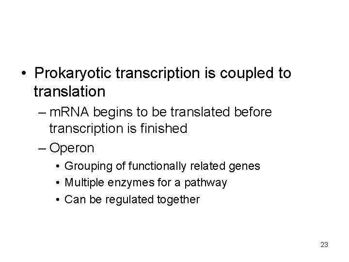 • Prokaryotic transcription is coupled to translation – m. RNA begins to be