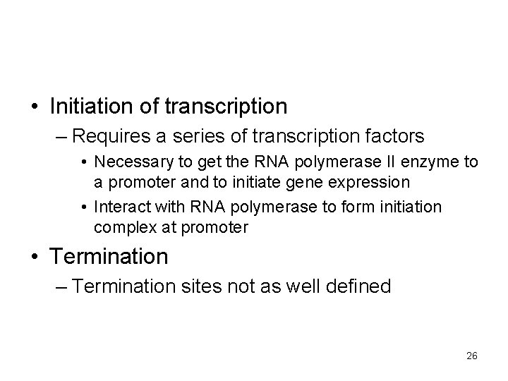  • Initiation of transcription – Requires a series of transcription factors • Necessary