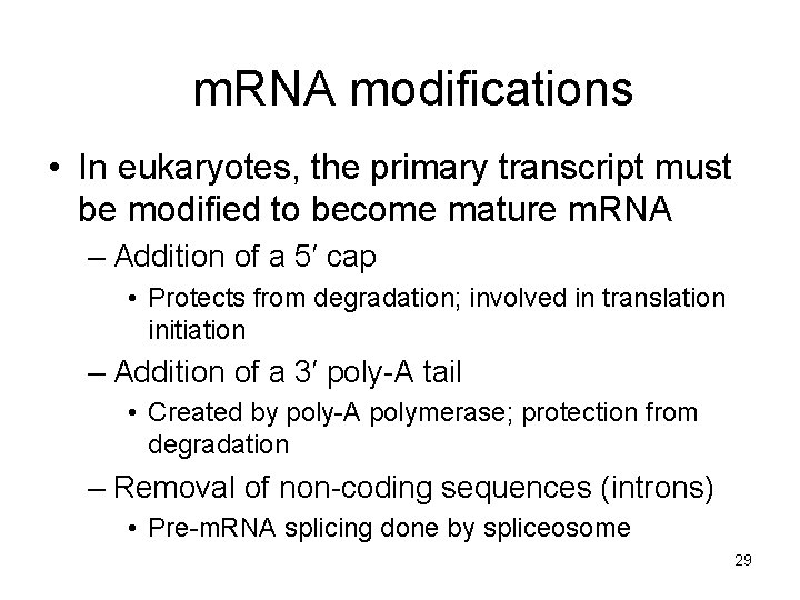 m. RNA modifications • In eukaryotes, the primary transcript must be modified to become