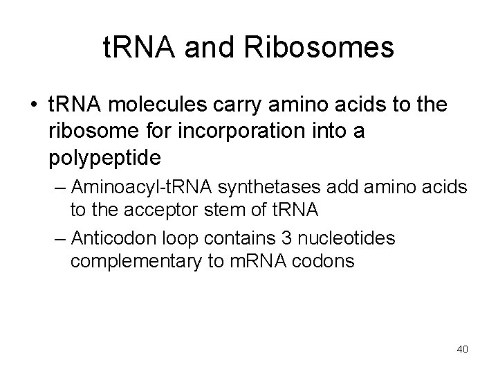 t. RNA and Ribosomes • t. RNA molecules carry amino acids to the ribosome