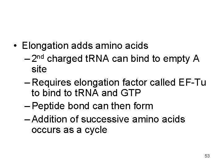  • Elongation adds amino acids – 2 nd charged t. RNA can bind