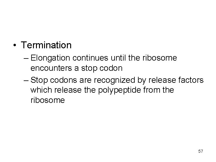  • Termination – Elongation continues until the ribosome encounters a stop codon –