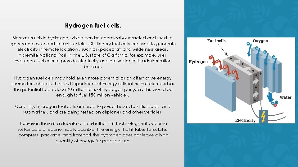 Hydrogen fuel cells. Biomass is rich in hydrogen, which can be chemically extracted and