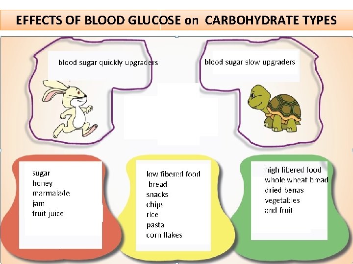 EFFECTS OF BLOOD GLUCOSE on CARBOHYDRATE TYPES 