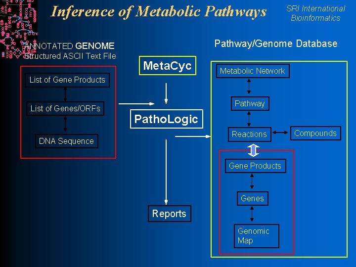 Inference of Metabolic Pathways ANNOTATED GENOME Structured ASCII Text File SRI International Bioinformatics Pathway/Genome