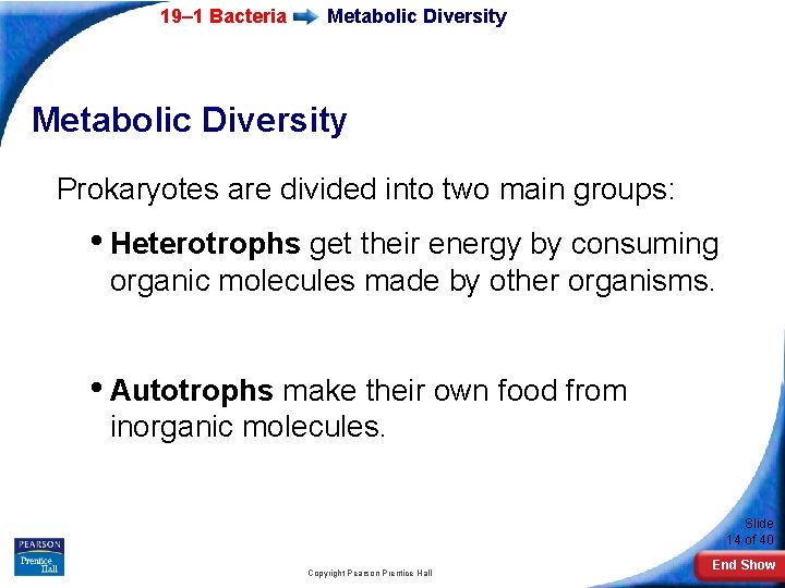 19– 1 Bacteria Metabolic Diversity Prokaryotes are divided into two main groups: • Heterotrophs