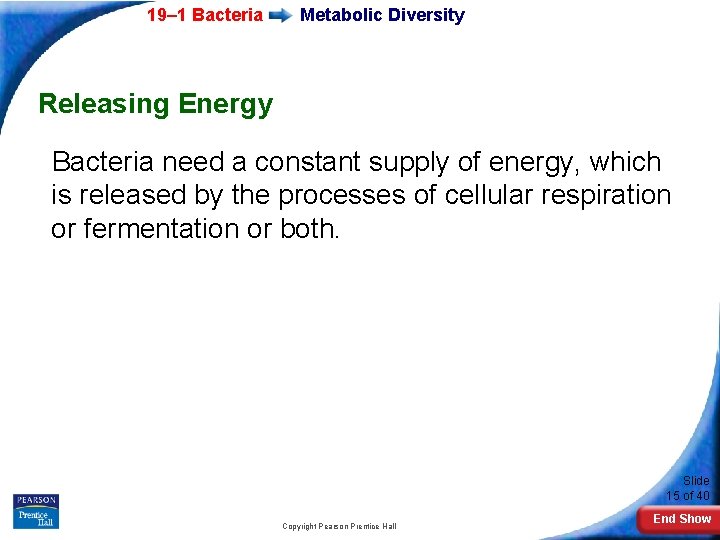 19– 1 Bacteria Metabolic Diversity Releasing Energy Bacteria need a constant supply of energy,
