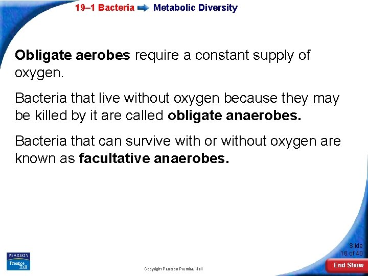 19– 1 Bacteria Metabolic Diversity Obligate aerobes require a constant supply of oxygen. Bacteria