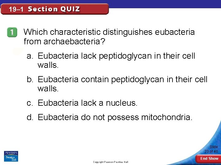 19– 1 Which characteristic distinguishes eubacteria from archaebacteria? a. Eubacteria lack peptidoglycan in their