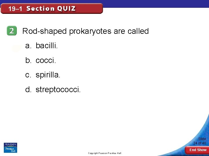 19– 1 Rod-shaped prokaryotes are called a. bacilli. b. cocci. c. spirilla. d. streptococci.