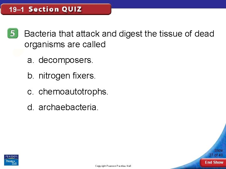 19– 1 Bacteria that attack and digest the tissue of dead organisms are called