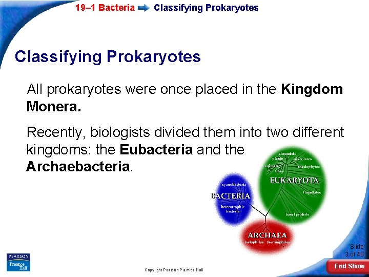 19– 1 Bacteria Classifying Prokaryotes All prokaryotes were once placed in the Kingdom Monera.