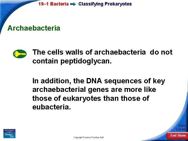 19– 1 Bacteria Classifying Prokaryotes Archaebacteria The cells walls of archaebacteria do not contain