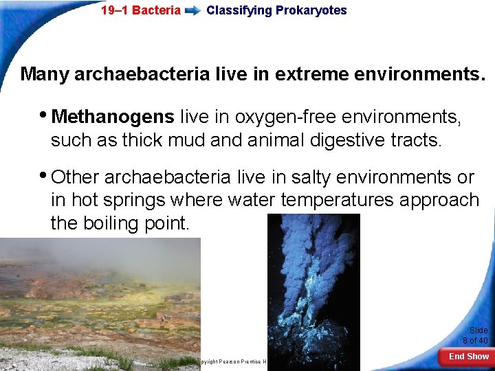 19– 1 Bacteria Classifying Prokaryotes Many archaebacteria live in extreme environments. • Methanogens live